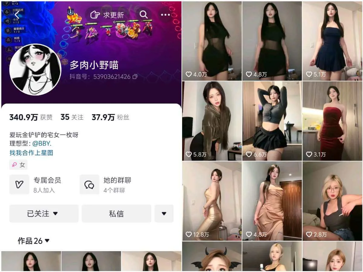 多肉小野猫 微密圈全套高清写真合集(持续更新)-醉美阁